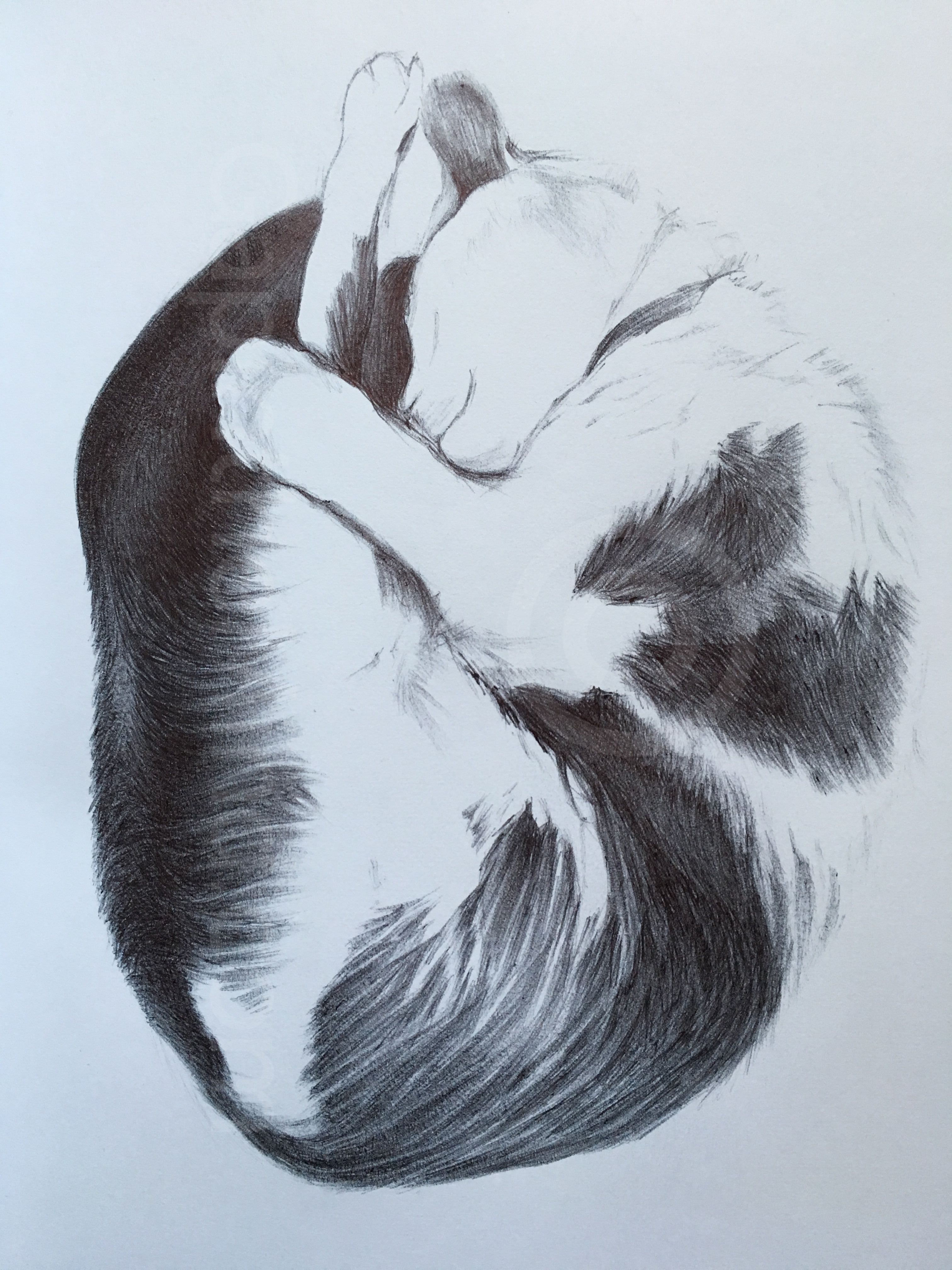 Mewsul