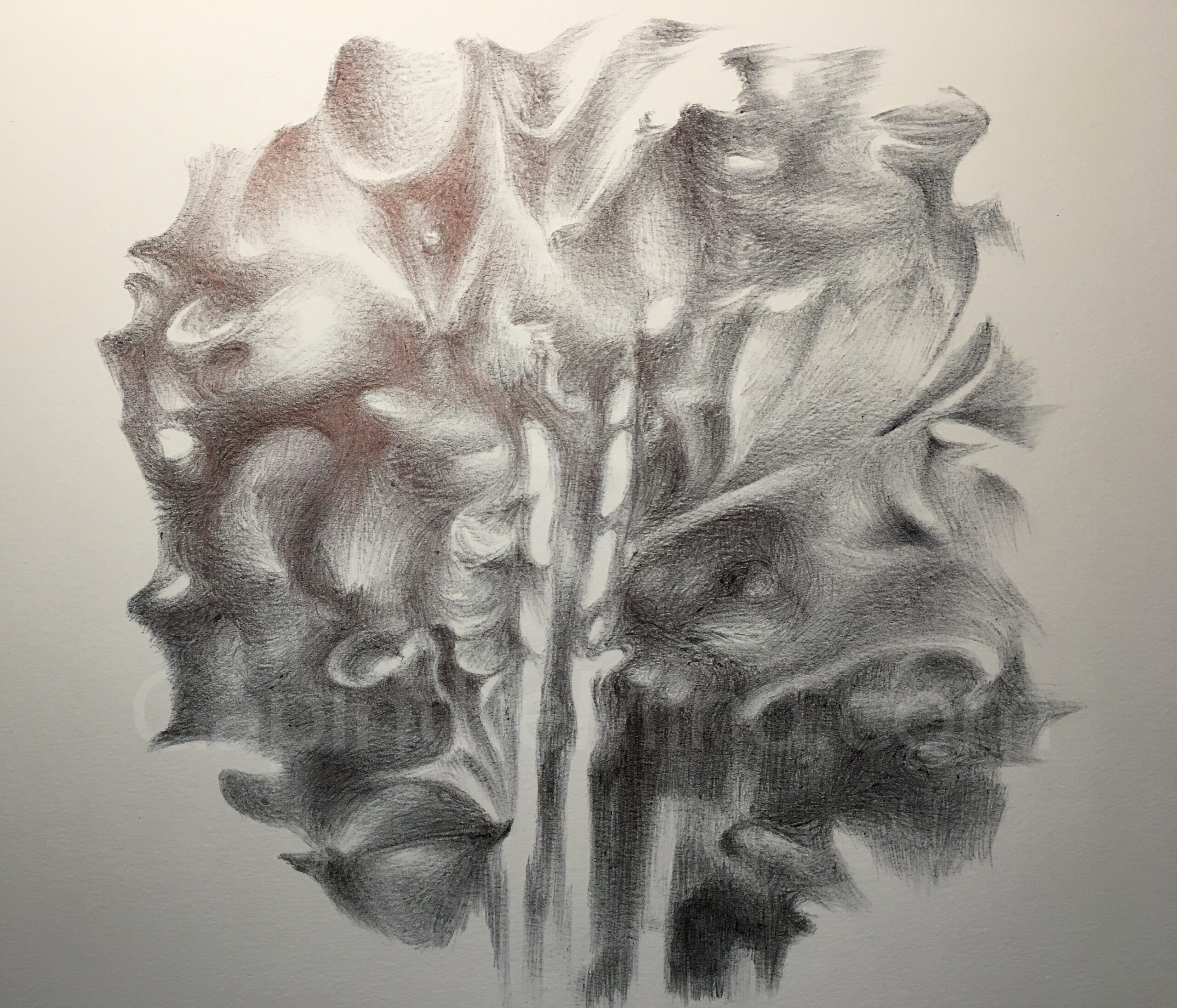 The Iron Tree