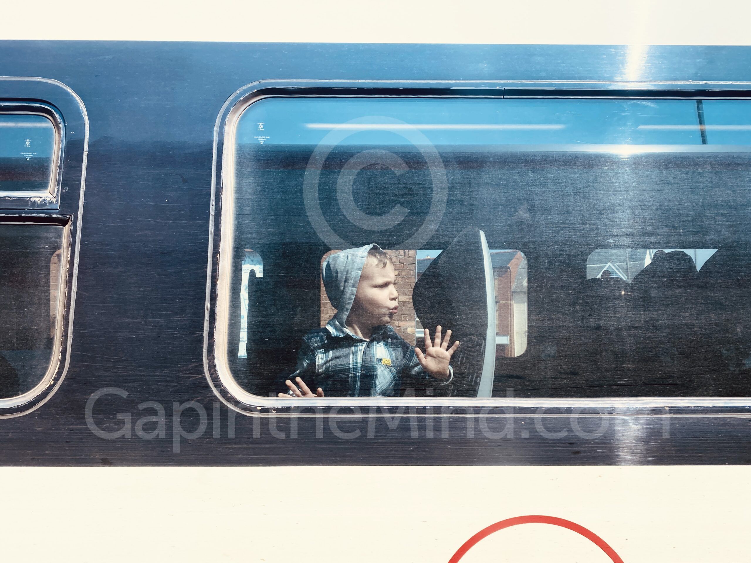 The Passenger